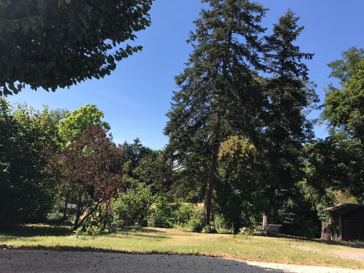 Charmant F1 Avec Terrasse Et Vue Sur Jardin Arbore - Fraicheur Naturelle Du Rez De Jardin - Parking Bellerive-sur-Allier Ngoại thất bức ảnh